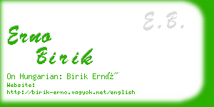 erno birik business card